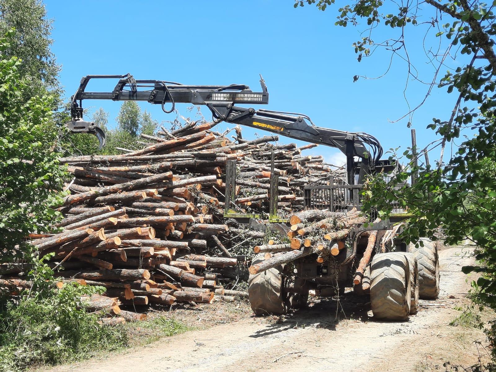 Forwarder na lageru drvne mase nakon krčenja