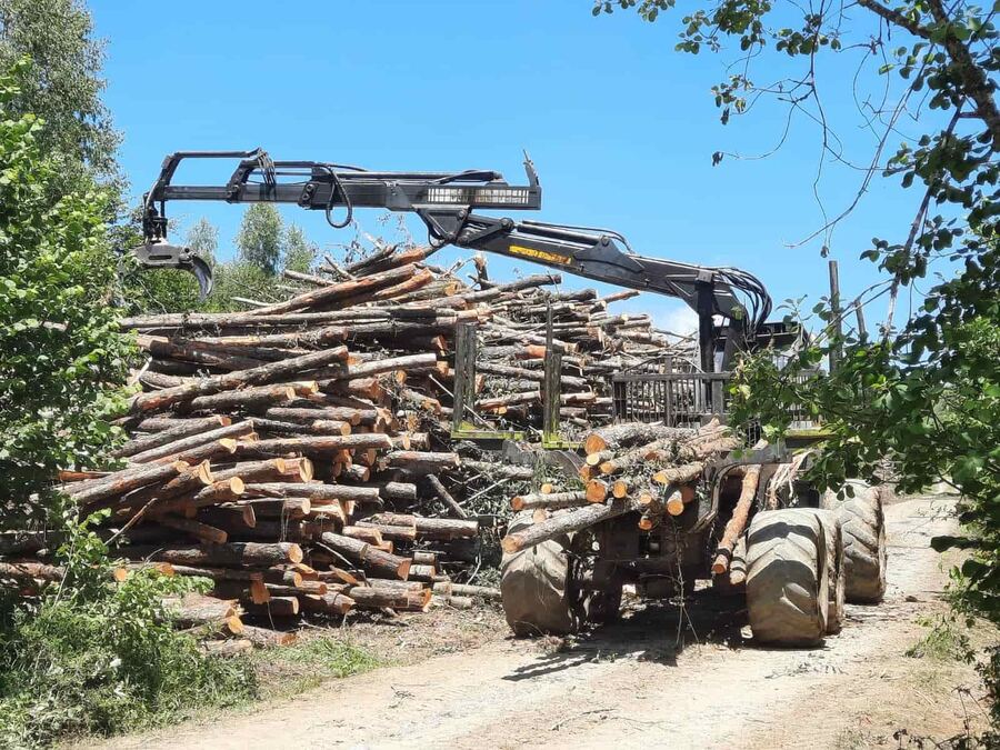 Harvester na lageru drvne mase